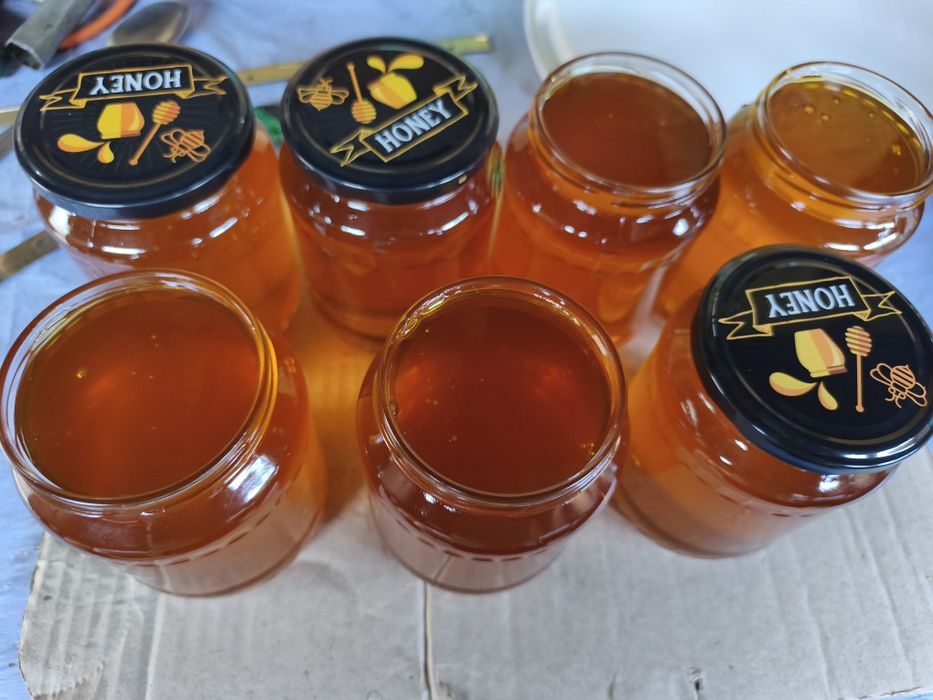 Vind miere poliflora