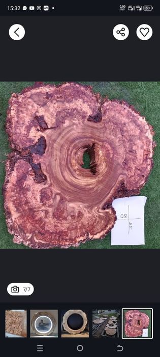 Торцевые каповые откалиброванные спилы карагача