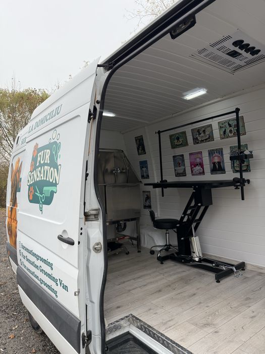 Frizerie canină si felină la domiciliu tau