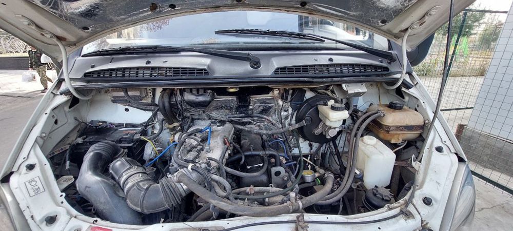 Gazel sotiladi 2012 yil