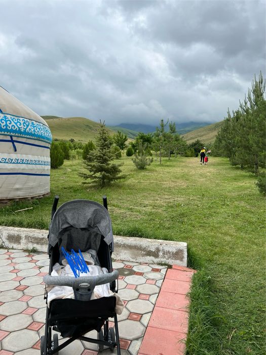 Коляска 2в1, манеж 2в1