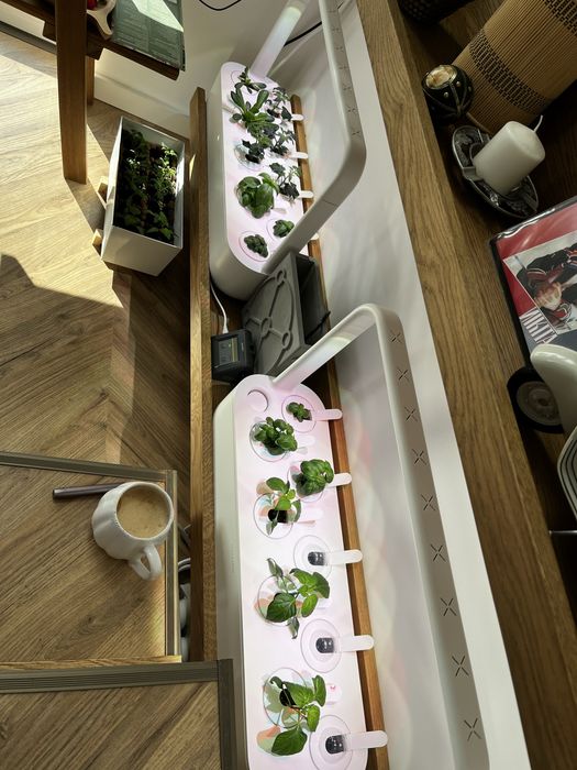 Seră Click and Grow