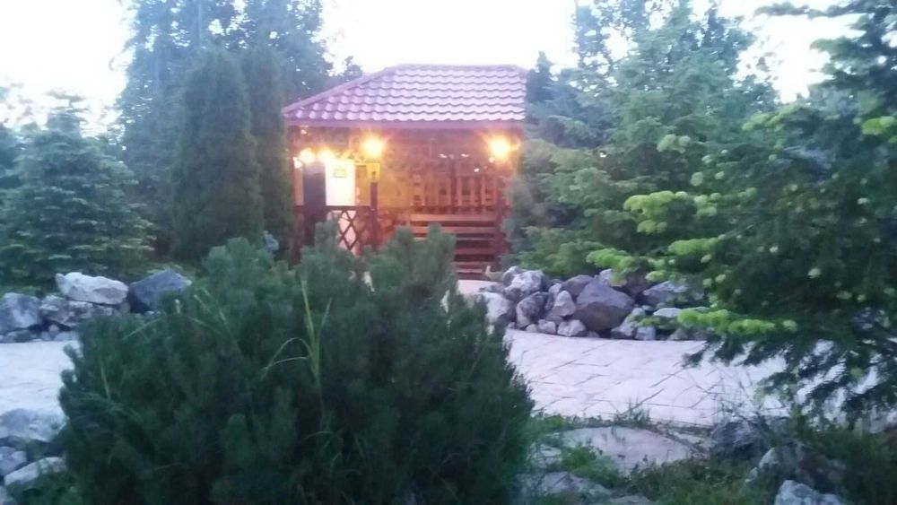 Meseriasi , constructori , interior-exterior  , oferim garanție  !