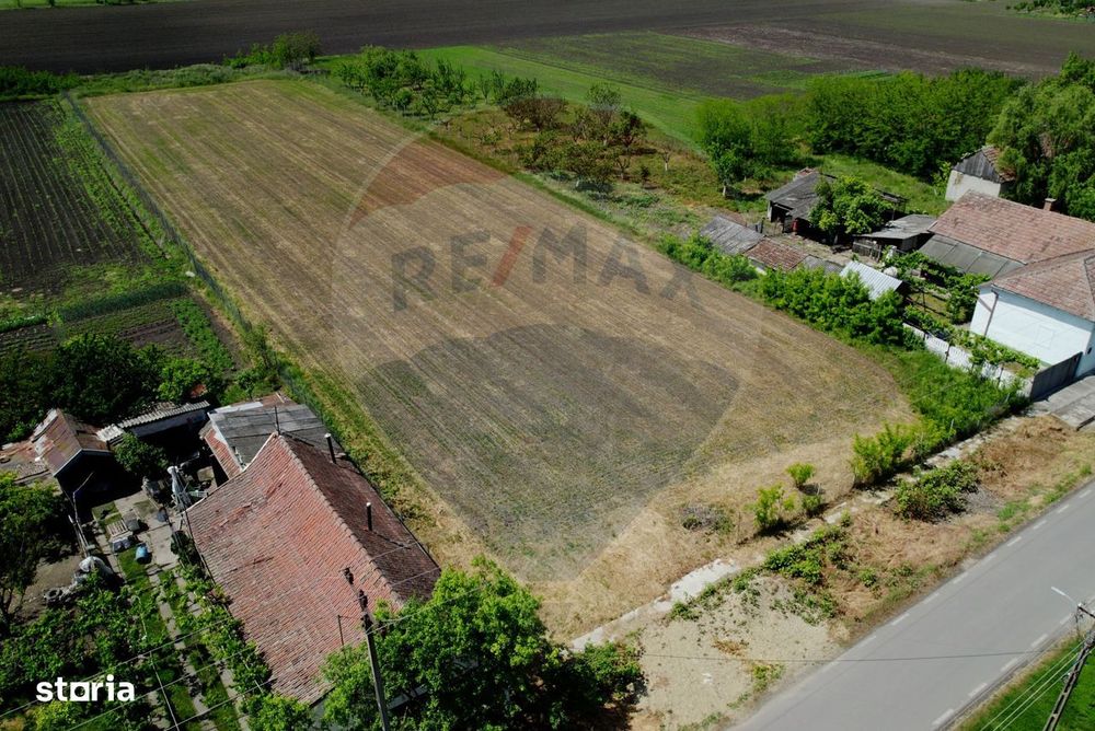 Teren intravilan 5,018mp Variasu Mare - 15 km de Arad/ str. Principală