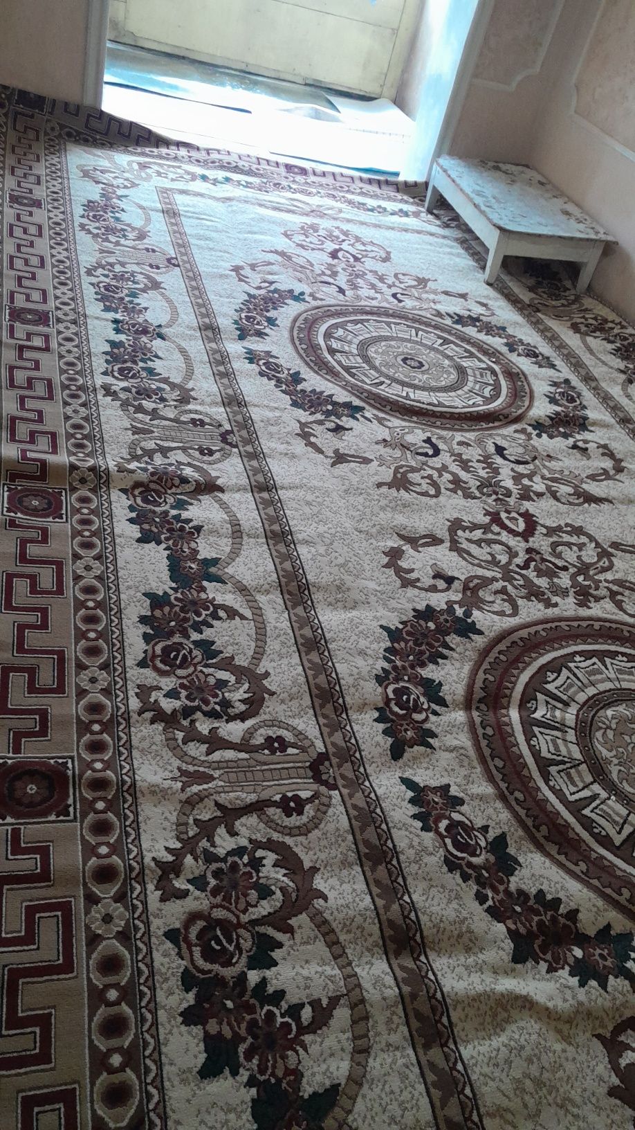 Kogon kbwga ugil bollar kvartra ijaraga beriladi oilaga berilmaydi