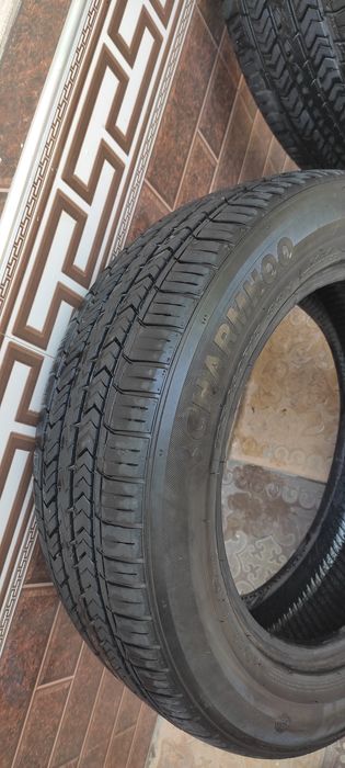 Balon charmxo cotiladi