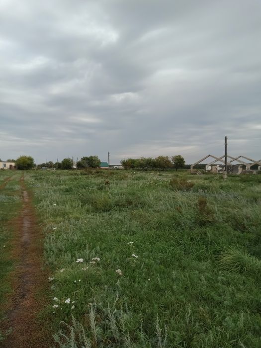 Участок пастбище