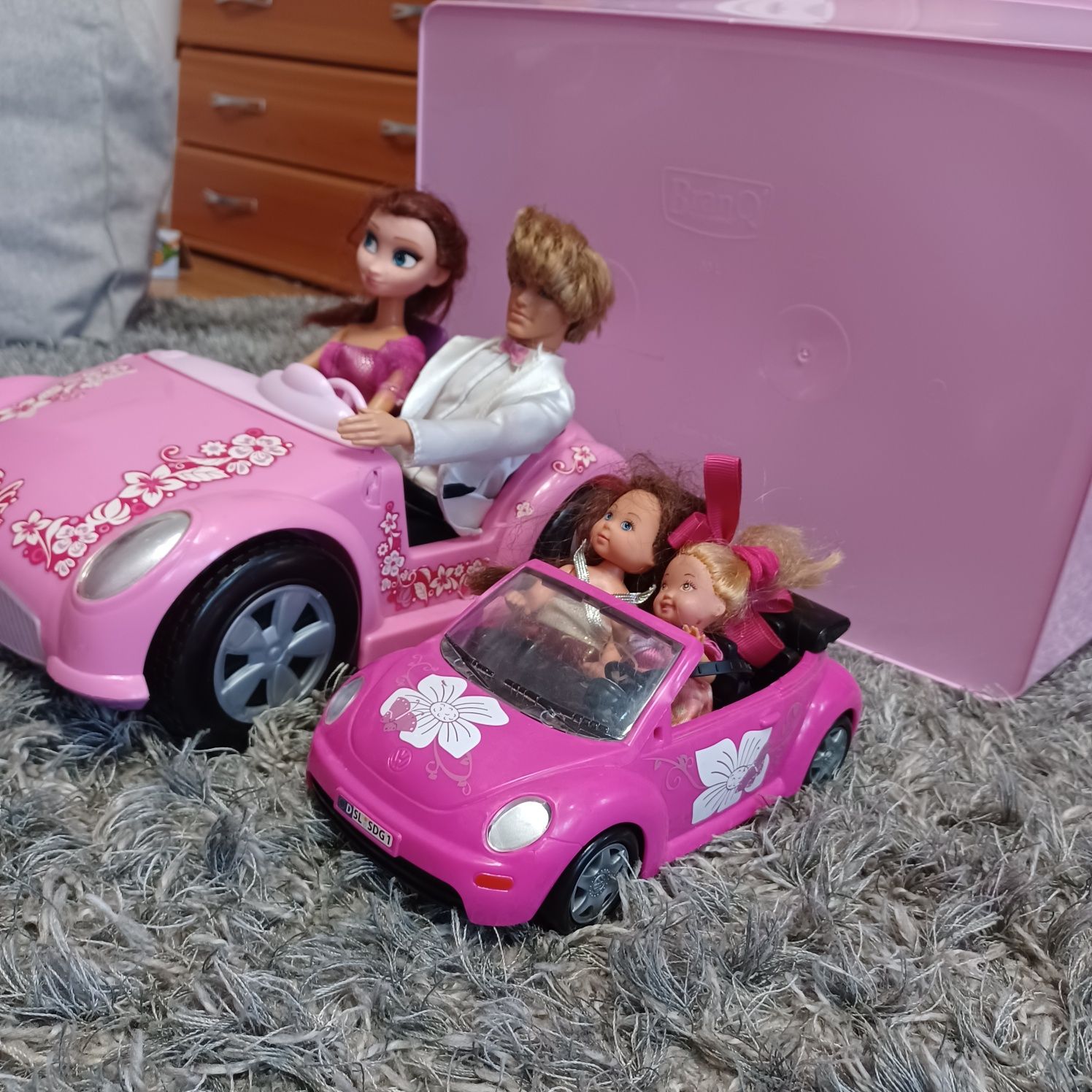 Barbie cu masina