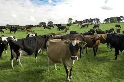 Продавам селско стопанство