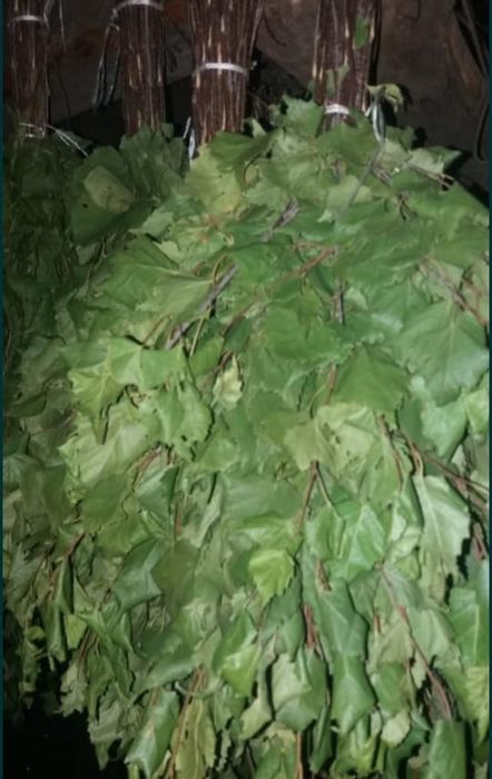 Продам банные веники