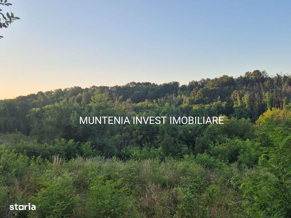 Teren 1450 mp. intravilan Albota