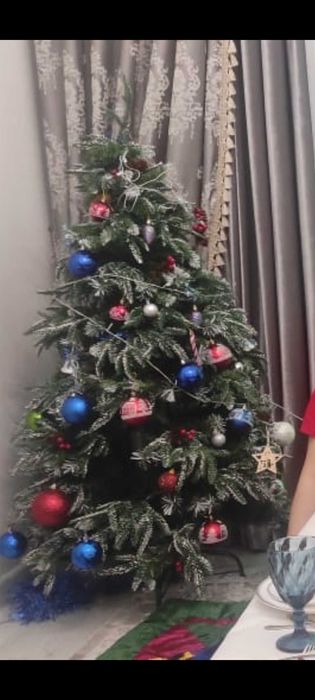 Елка  бу красивая нежная пышная. высота Елки 1,50