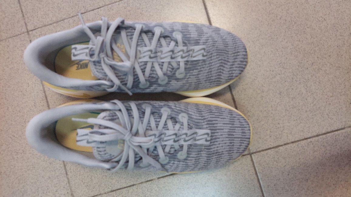 Маратонки Nike Motiva