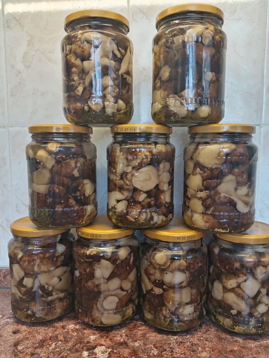 Грибы валуи и разные соления