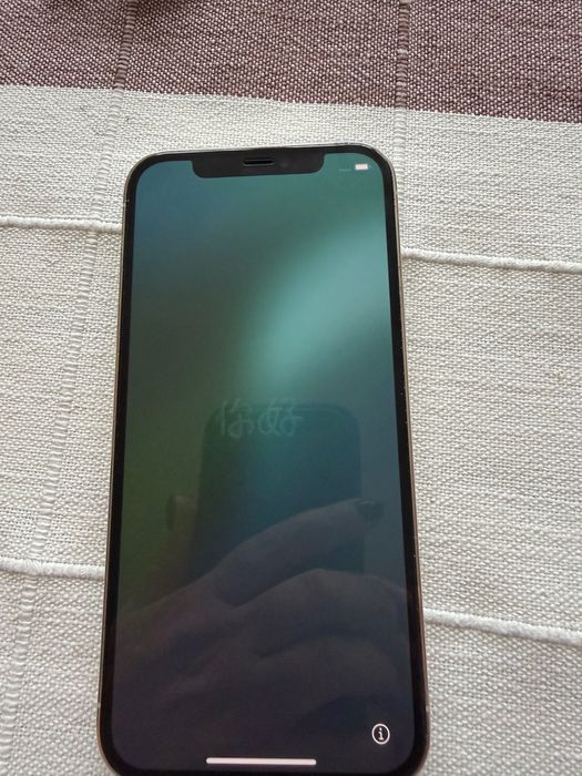 iPhone 12 Pro Silver