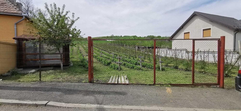 Teren intravilan pentru casa in Mandra, Loamnes - 1400m2