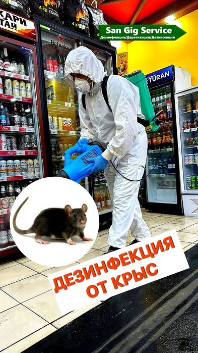 Уничтожение грызунов крыс и мышей в БИЗНЕС ОБЪЕКТЕ
