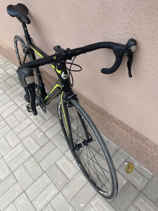 Cursiera bergamont dolce