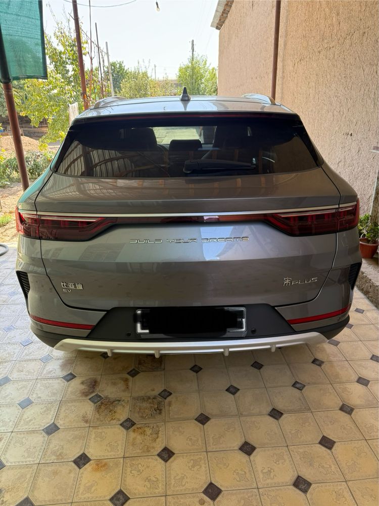 Song plus byd fleshchip