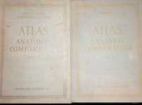 Atlas anatomie comparativa vol.I și vol.II