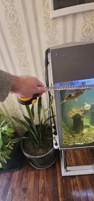 Аквариум 200  л.