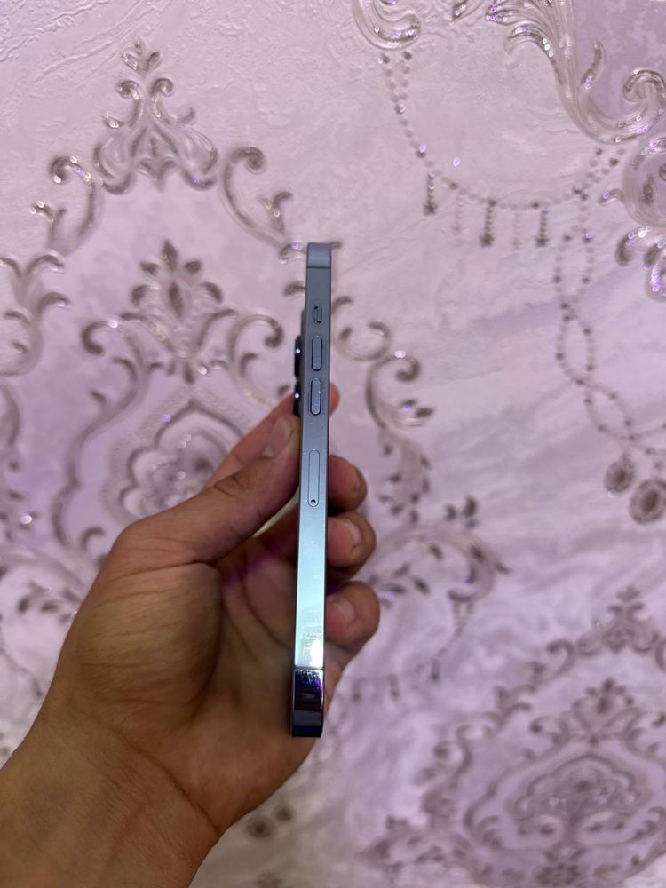 iPhone 13  Pro sotilad