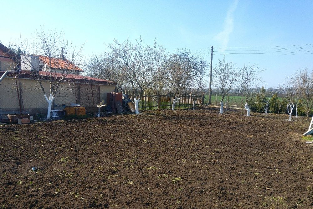 Къща с двор, лозе и овошки