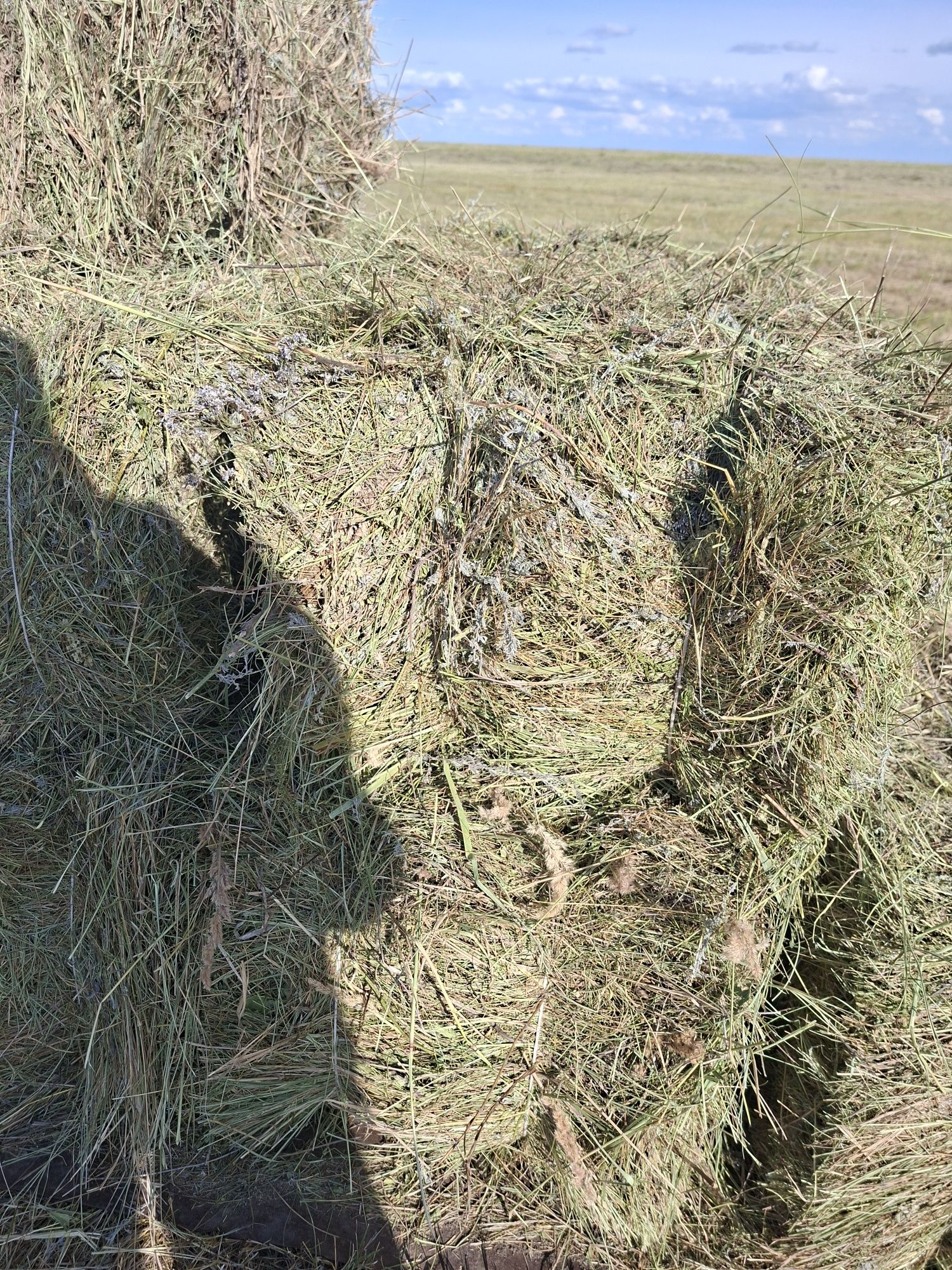 Продается сена разнотравье