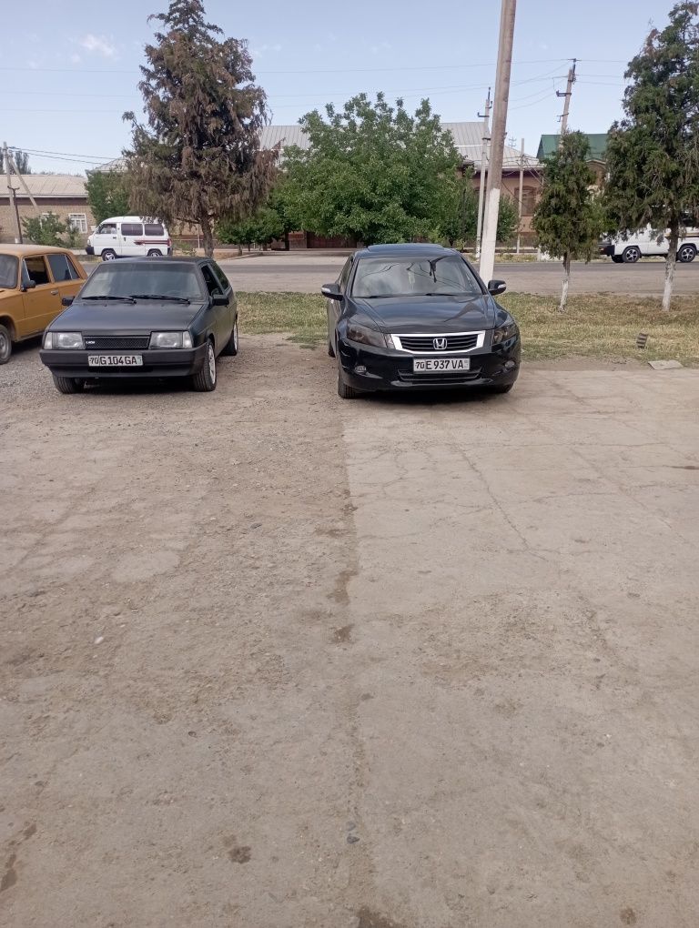 Pryora mator 1.8