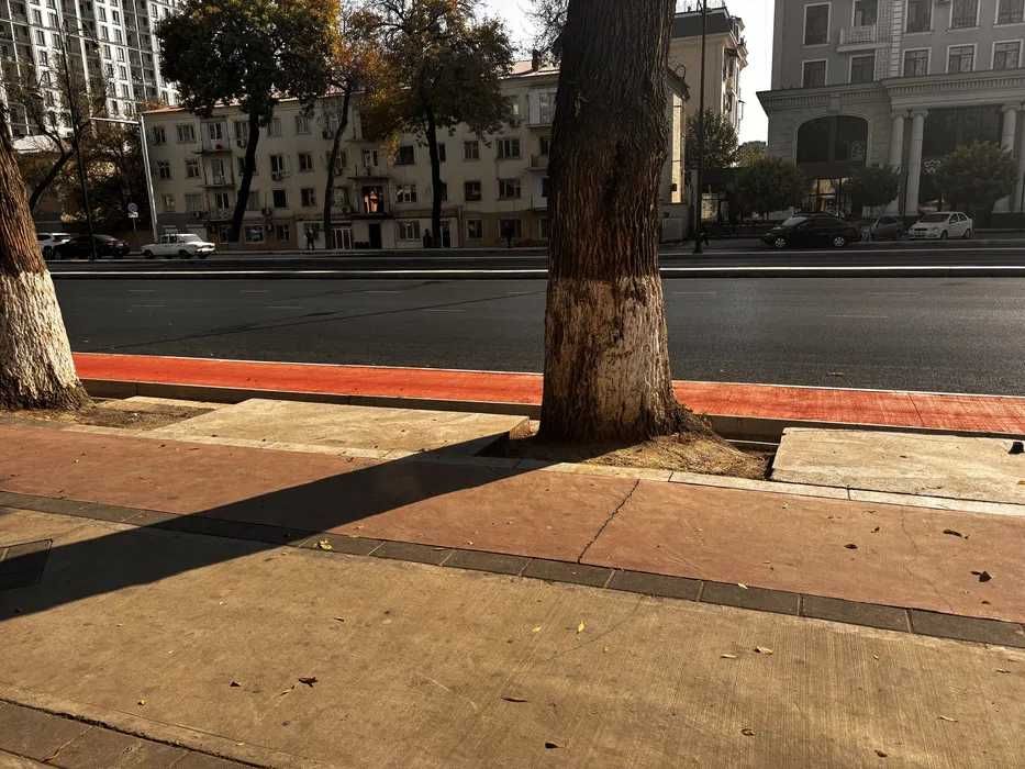 Коммерческое помещение на Шота Руставели