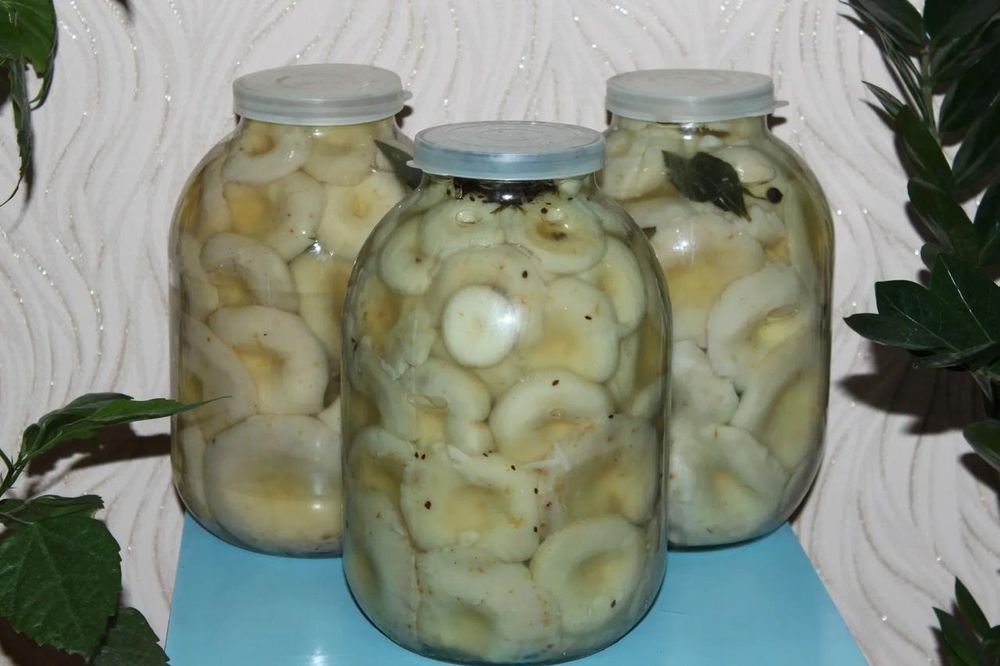 Продам соленые грузди