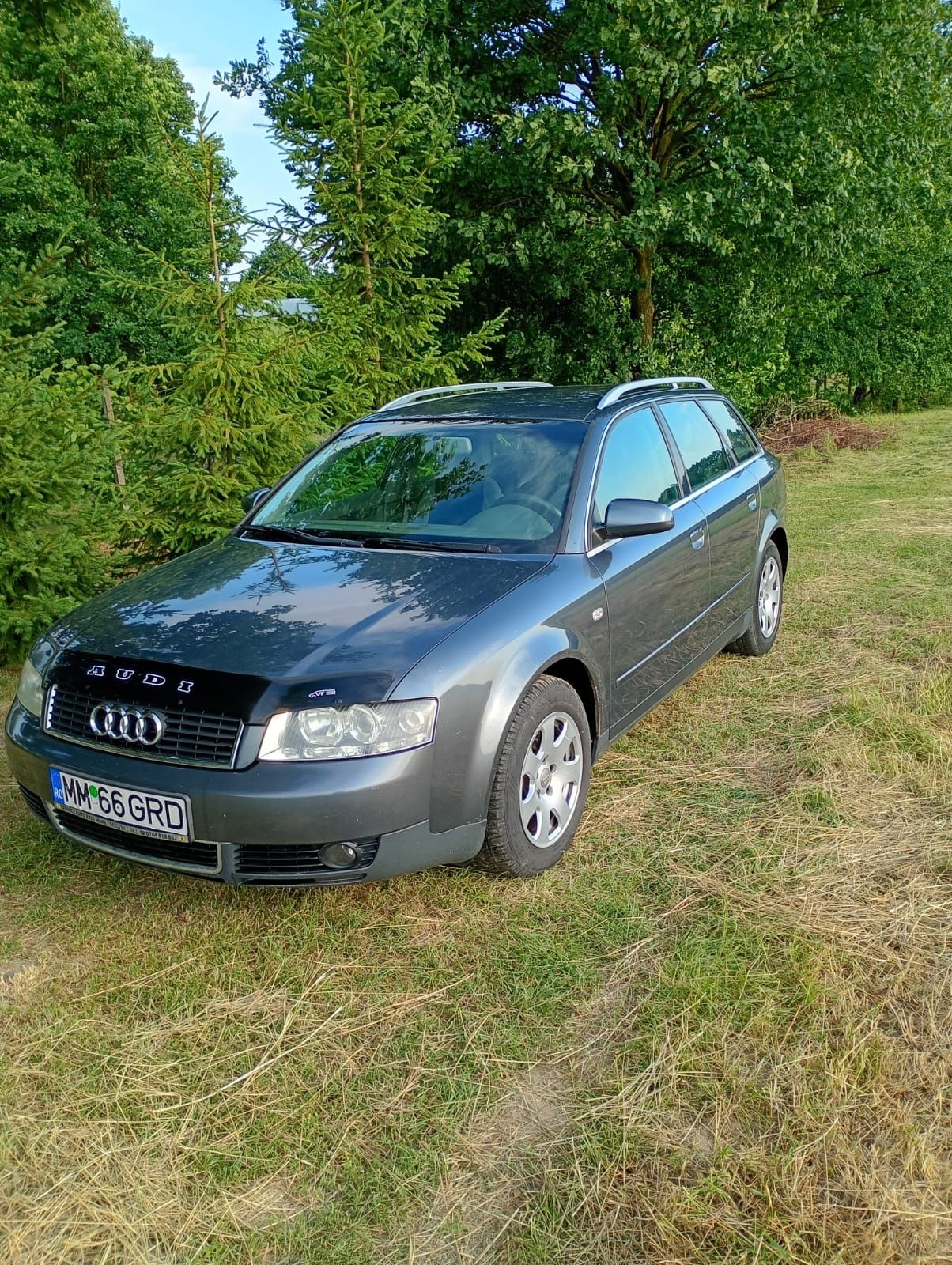 Vand Audi A4 din 2004