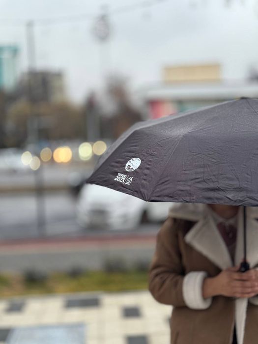 Soyabonga logotip urish, зонтики с вашим лого