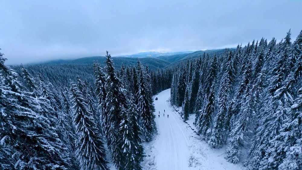 Servicii foto video cu drone