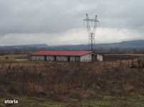 ID 10367: Spațiu industrial de 586 mp