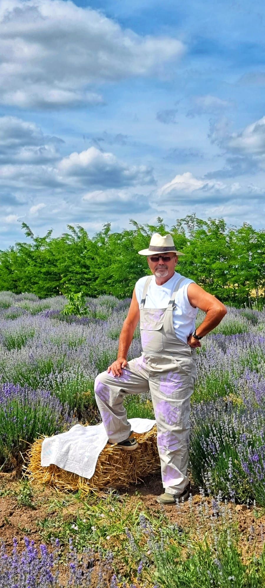 Locatie petrecere timp / evenimente / sedinte foto plantatie lavanda