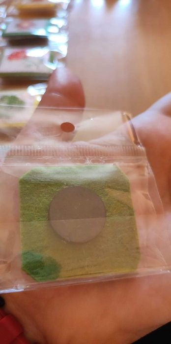 Магнити с шевици