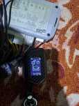 Mejicar pult 907 daminat sotiladi