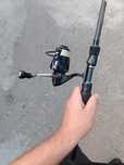 Set spinning complet