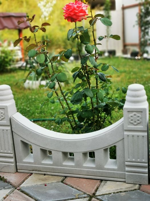 Vand gardulete din beton