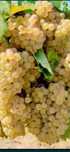 Vand struguri de vin