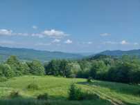 Teren de vânzare extravilan comuna Corbi,județul arges