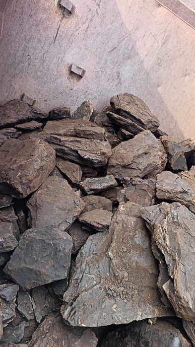 Cărbune lignit bulgari