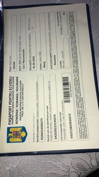 Vand iapa rasa necunoscuta