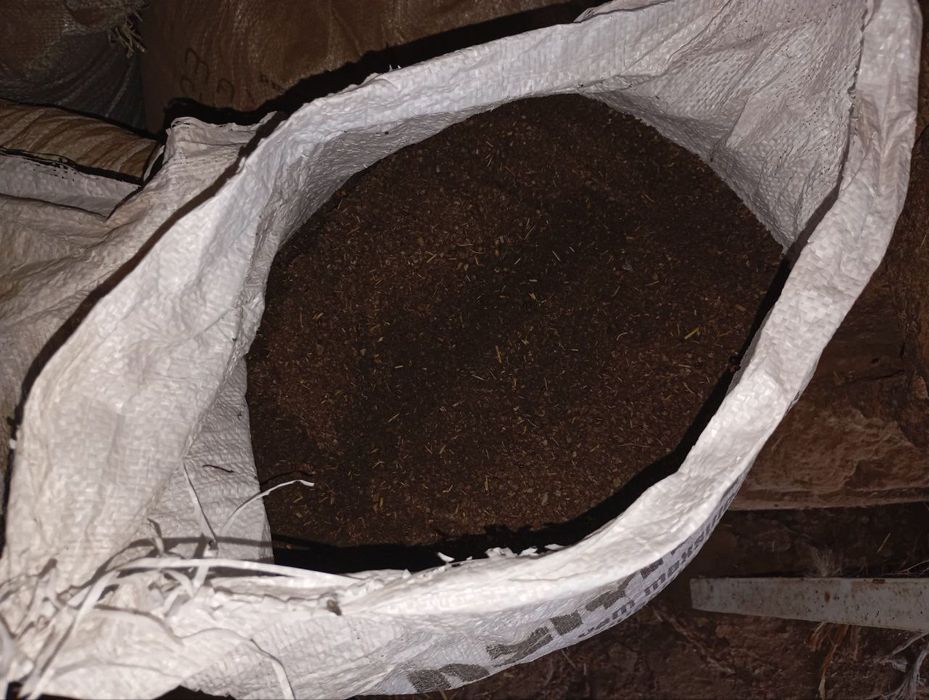 Biogomus tayyor elangan