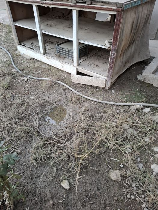 Агаш отын дрова бесплатно
