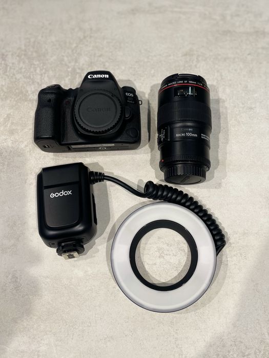 Canon 6D Mark II body