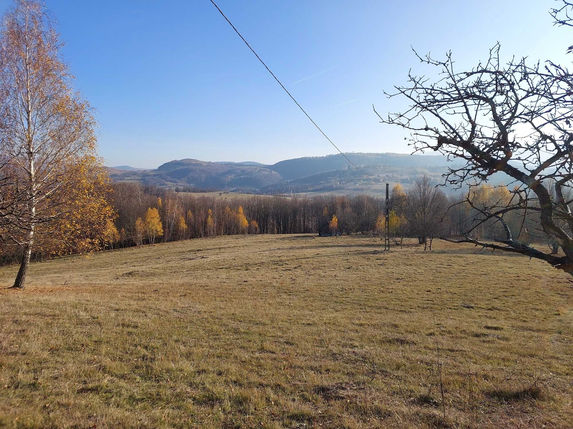 Teren intravilan de vanzare - Suprafata mare