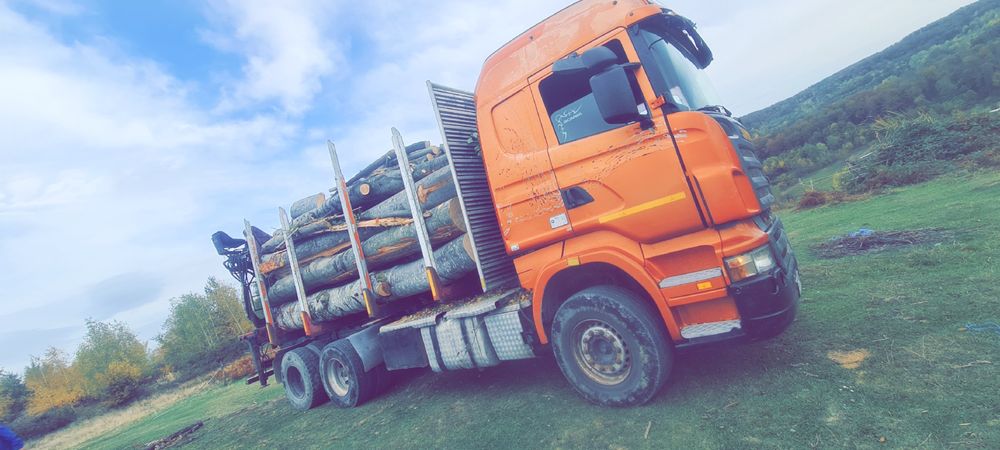 Lemn de foc transport inclus