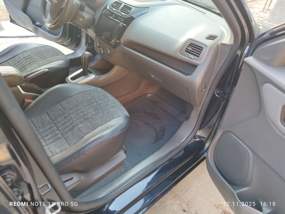 2023 краска тозза